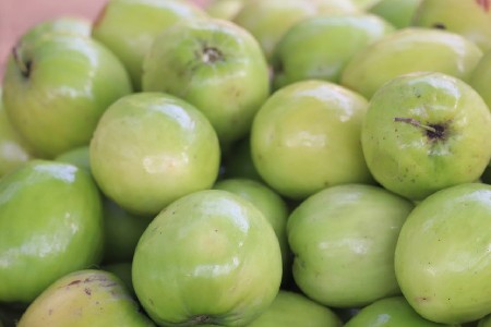 थंबनेल 2