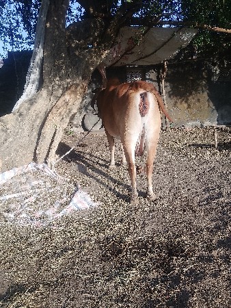 थंबनेल 2