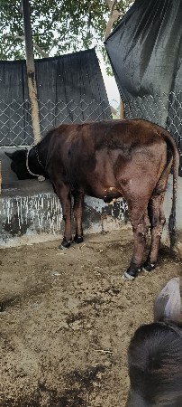 थंबनेल 3