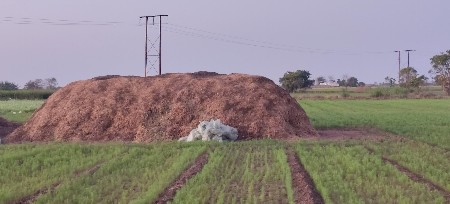 mandvino bhuko vechvano se