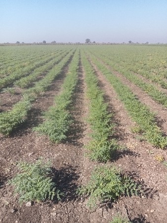 જમીન વેચવાની છે