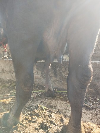 थंबनेल 3