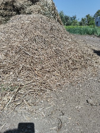 મગફળી નો ભૂકો જીવીશ 20