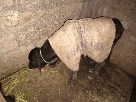 थंबनेल 3