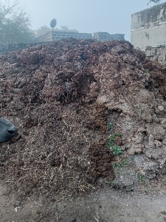 ખાતર ૧૦:૧૧ ટોલી છે