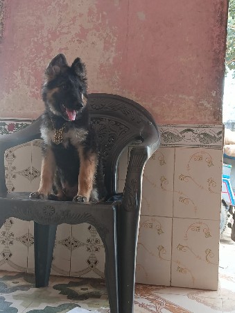 થંબનેલ 2