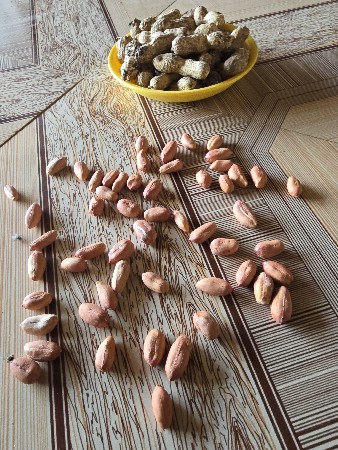 થંબનેલ 3