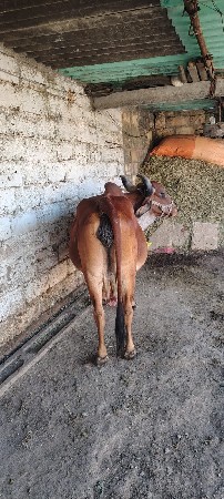 थंबनेल 3