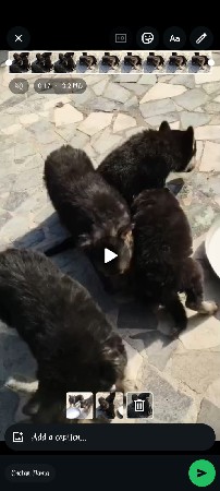 થંબનેલ 3