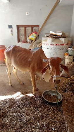 થંબનેલ 2