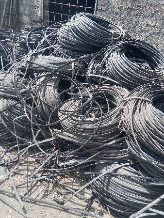 થંબનેલ 4