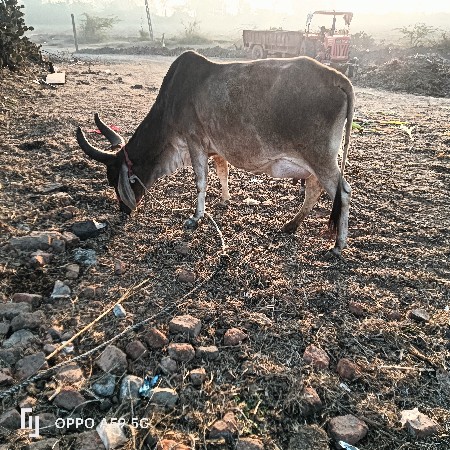 थंबनेल 2