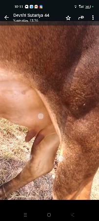 थंबनेल 5