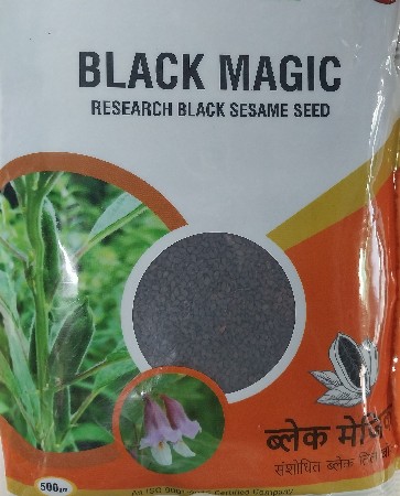 કાળા તલ નુ બેસ્ટ સર્ટીફાઇ બીયારણ