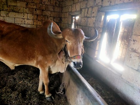 थंबनेल 2