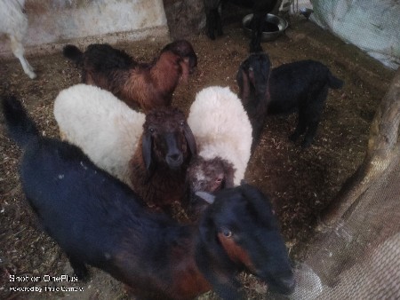 थंबनेल 3