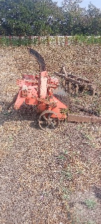 સેડર શેડર શ્રેડર