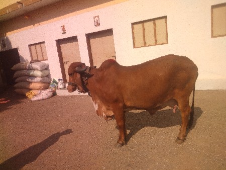 थंबनेल 2