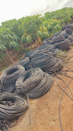 थंबनेल 4