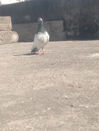 थंबनेल 2