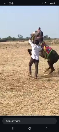 थंबनेल 2