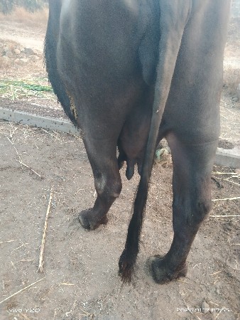 थंबनेल 2