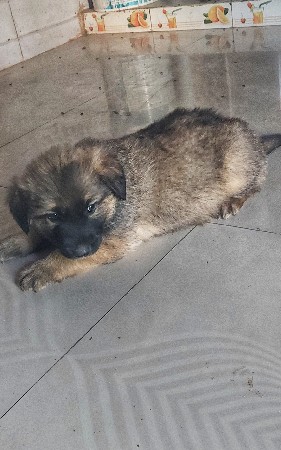 थंबनेल 2