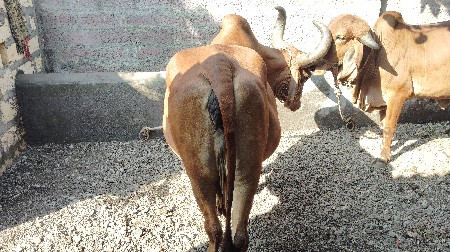 थंबनेल 3