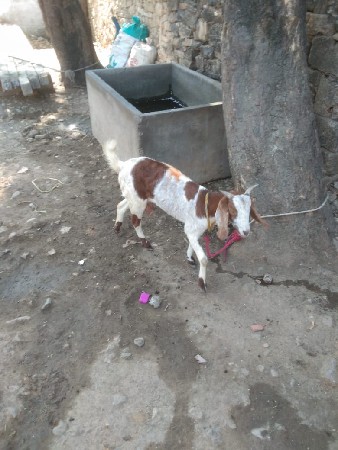 थंबनेल 2