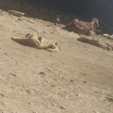 थंबनेल 3