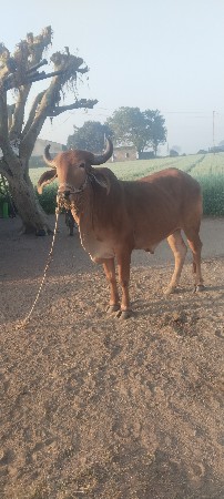 આંકડા વેચવાના છે