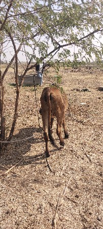 थंबनेल 3