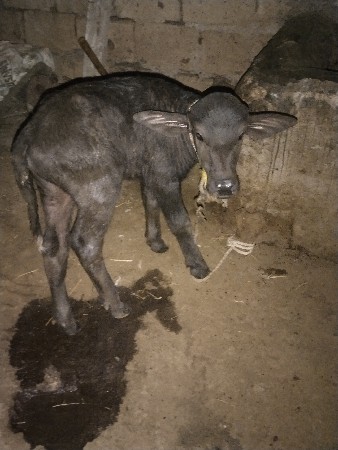 थंबनेल 2