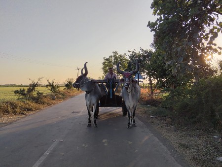 થંબનેલ 3