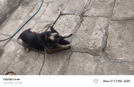 थंबनेल 2