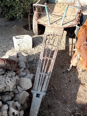 રેકડોવેશવાનોશે