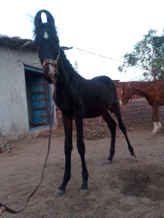 थंबनेल 3