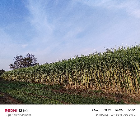 જીગ્નેશ ઘોઘાભાઈ છીપરીયા