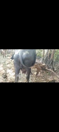 9723197610આ નબર માં ફોન કરવો