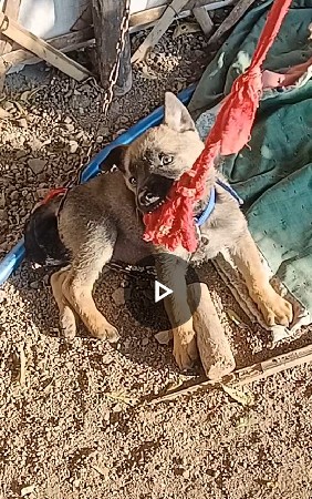 थंबनेल 3