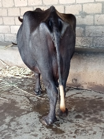 थंबनेल 3