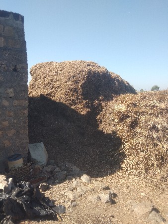 13 વિઘા નો ભુકો