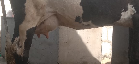 थंबनेल 2