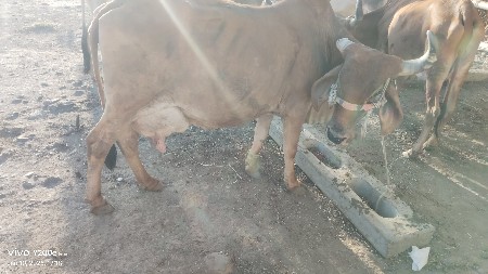 थंबनेल 3