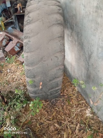 थंबनेल 3