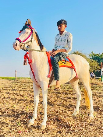 थंबनेल 2