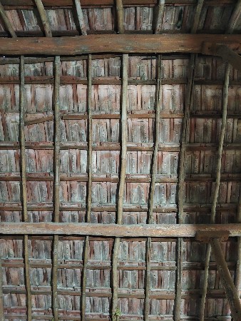 थंबनेल 2