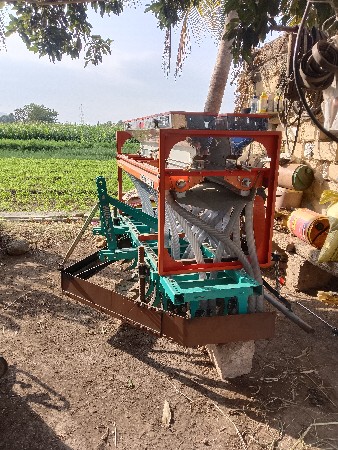 ઓરણી વેસવાનીસે