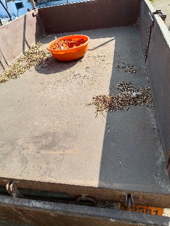 મીની ટ્રેક્ટરની ટ્રોલી