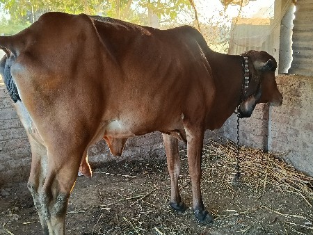 थंबनेल 2